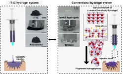 New “injectable tissue prosthesis coupled with closed-loop bioelectronic system” to aid in damaged muscle/nerve regeneration and robot-assisted rehabilitation