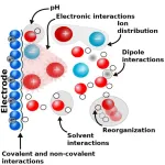 New insight on electrochemical reactions – advancing the green transition