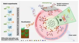 New insights into biochar reveal how to better capture phosphorus and protect water systems