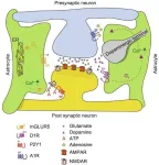 New insights into drug addiction: The role of astrocytic G protein-coupled receptors