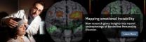 New insights into the borderline personality brain