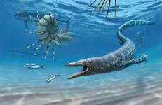 New insights into the evolution and paleoecology of mosasaurs: most comprehensive study to date