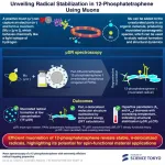 New insights on radical trapping in 12-phosphatetraphene uncovered