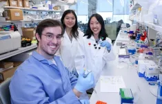 New lipid nanoparticle design improves precision of mRNA vaccine delivery 3