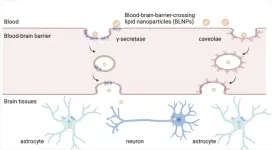 New lipid nanoparticle platform delivers mRNA to the brain through the blood-brain barrier