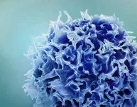 New LJI research has major implications for controlling T cell activity