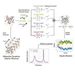 New machine learning model quickly and accurately predicts dielectric function 2