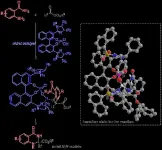 New method for asymmetric N,N-acetal synthesis promises advances in drug development