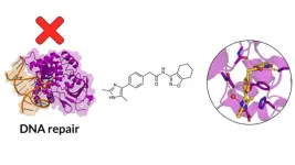 New method searches through 10 sextillion drug molecules