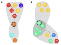 New method to predict medical risks decades ahead