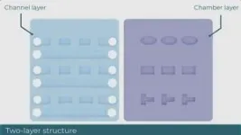 New microfluidic device reveals how the shape of a tumour can predict a cancer’s aggressiveness 2