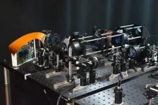 New microscope offers faster, high-resolution brain imaging 3