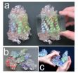 New model gives hands-on help for learning the secrets of molecules