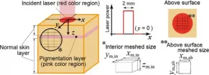 New model simulates the temperature rise of laser-heated skin