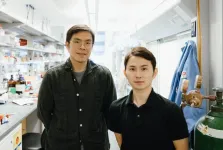 New molecule-creation method a ‘powerful tool’ to accelerate drug synthesis and discovery