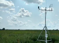 New MU study examines variability of water, carbon in Missouri agriculture ecosystems and future impact on crops