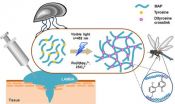 New mussel-inspired surgical protein glue: Close wounds, open medical possibilities 3