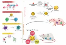 New nanoparticles found to be effective for the treatment of rheumatoid arthritis