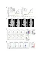 New nanoparticles found to be effective for the treatment of rheumatoid arthritis 2