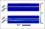 New NIST method evaluates response to oxidation in live cells