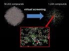 New NIST screening method identifies 1,200 candidate refrigerants to combat global warming