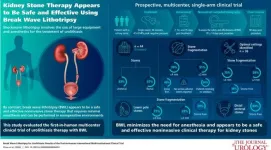 New noninvasive technique provides effective treatment for urinary stones