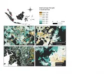 New oil palm map to inform policy and landscape-level planning