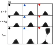 New open-source platform for high-resolution spatial transcriptomics 3