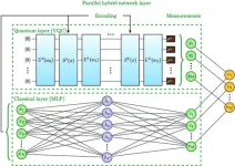 New parallel hybrid network achieves better performance through quantum-classical collaboration