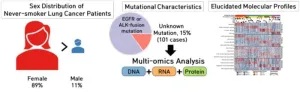 New pathways for treating never-smoker lung cancer revealed