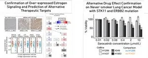 New pathways for treating never-smoker lung cancer revealed 3