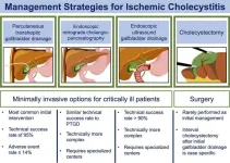 New perspectives on treating gallbladder inflammation