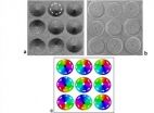 New phenomenon in nanodisk magnetic vortices