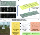 New phenotyping approach analyzes crop traits at the 3D level