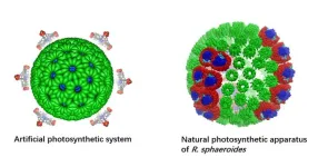 New photocatalytic system converts carbon dioxide to valuable fuel more efficiently than natural photosynthesis