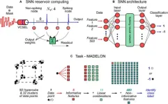 New photonic neural networks promise ultrafast computing for complex tasks