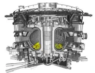 New plasma escape mechanism could protect fusion vessels from excessive heat 2