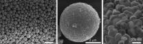 New 'pomegranate-inspired' design solves problems for lithium-ion batteries 3