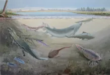 New predatory fish species which lived about 360 million years ago may have grown to over 2.5m long, according to analysis of South African fossils