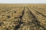 New protocol recommendations for measuring soil organic carbon sequestration 