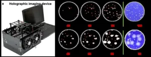 New rapid viral plaque detection system, aided by deep learning and holographic imaging, can help accelerate vaccine and drug development