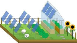 New research from Swansea University shines a light on how solar power and farming can coexist