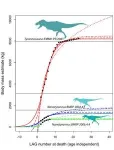 New research shows “Juvenile T. rex” fossils are a distinct species of small tyrannosaur 3