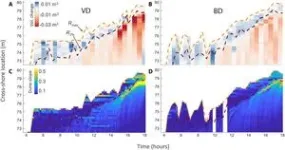 New research shows vegetation accelerates coastal dune erosion during extreme events 2