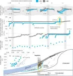 New research shows vegetation accelerates coastal dune erosion during extreme events 3