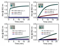 New research suggests mineral nanoparticles as ubiquitous enzyme mimetics in Earth systems