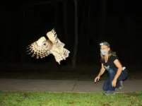 New research uncovers how Barred Owls interact with urban areas and why it matters 2