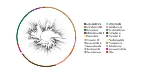 New resource harmonizes 16S and shotgun sequencing data for microbiome research