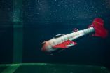 New robotic fish glides indefinitely