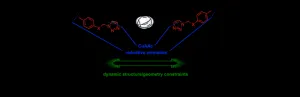 New shape-shifting antibiotics could fight deadly infections